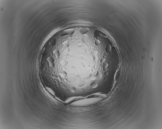 X0000083021243200702161608