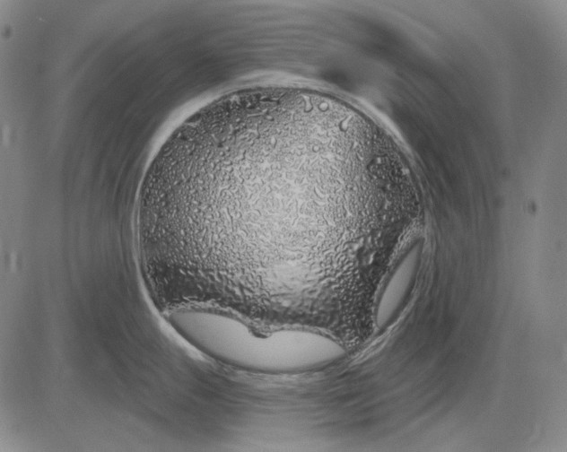 X0000083021247200702161608