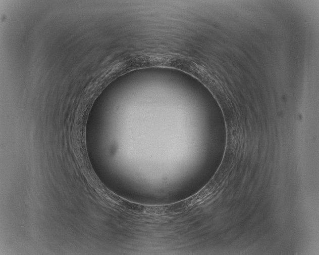 X0000083021249200702161607