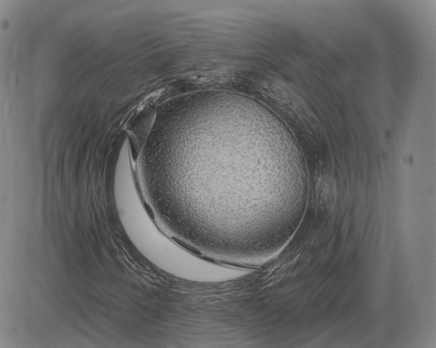 X0000083021250200702161607