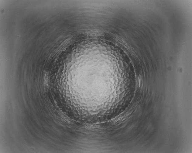 X0000083021251200702161607