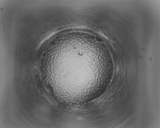X0000083021255200702161607
