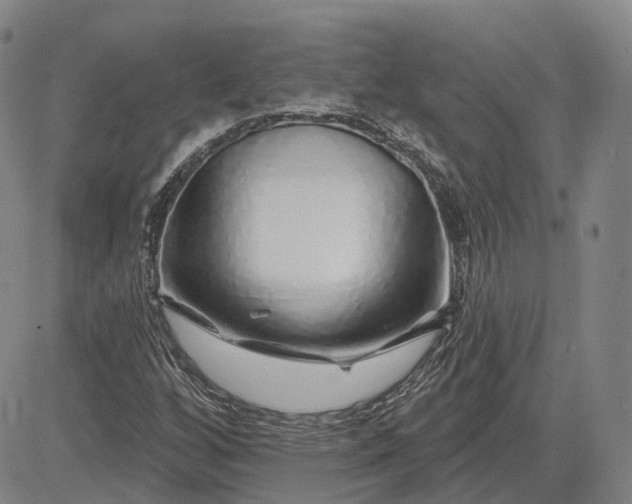 X0000083021256200702161607