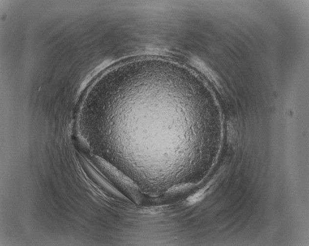 X0000083021260200702161607