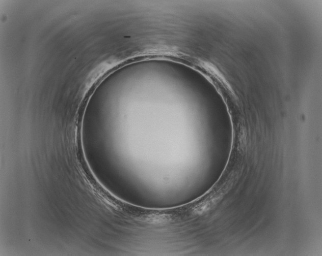 X0000083021268200702161607