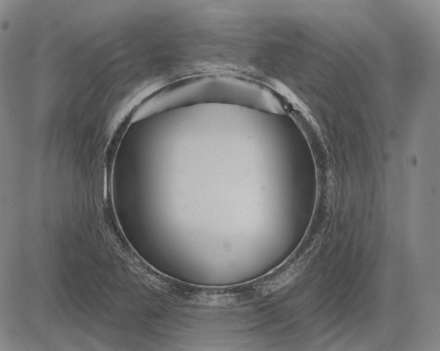 X0000083021269200702161607