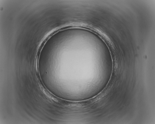 X0000083021272200702161607