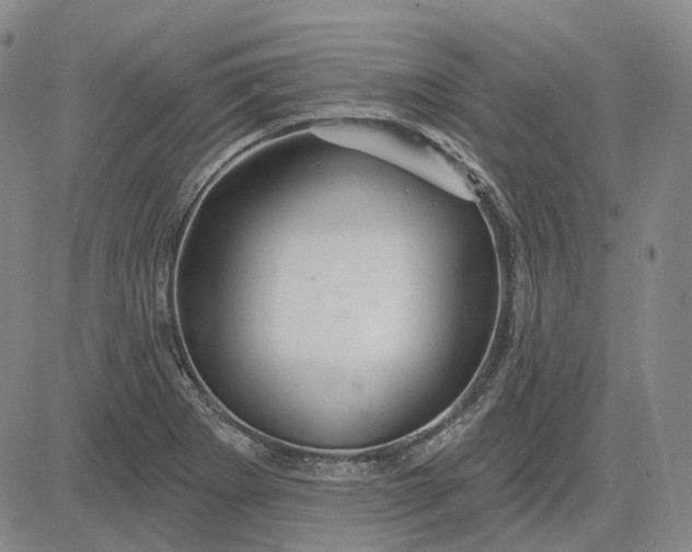 X0000083021273200702161607