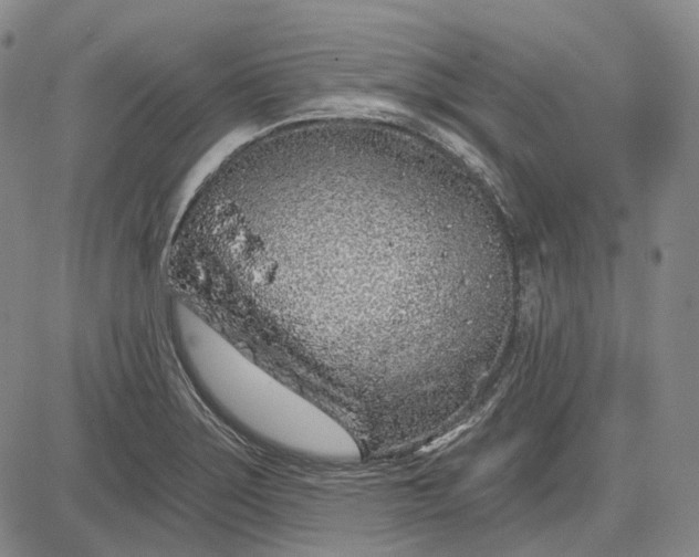 X0000083021275200702161607