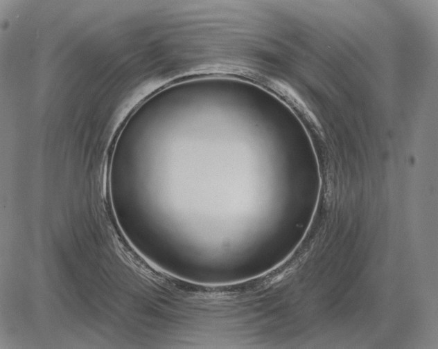 X0000083021276200702161607