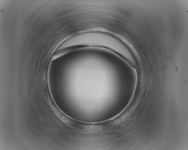 X0000083021281200702161607