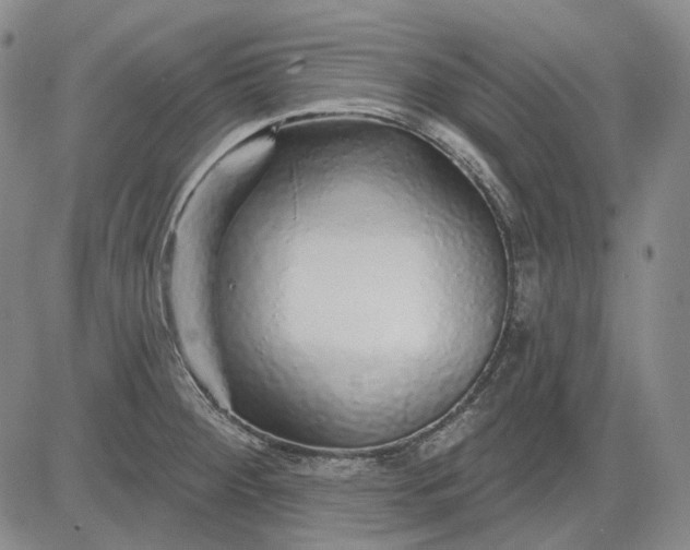 X0000083021284200702161607