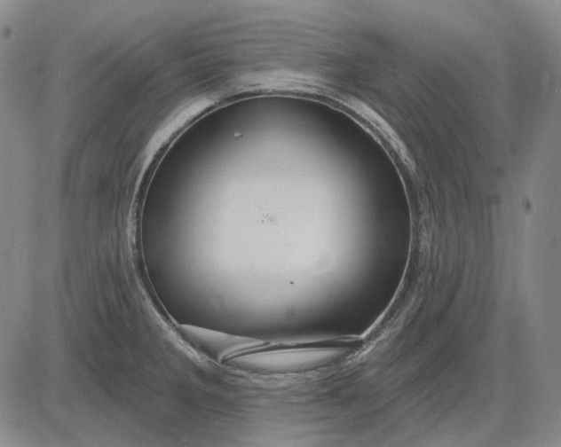 X0000083021285200702161607