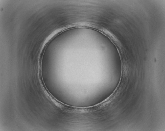 X0000083021286200702161607