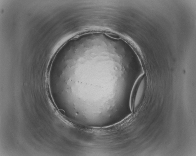 X0000083021287200702161607