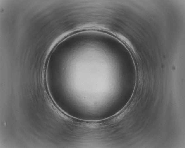 X0000083021288200702161607
