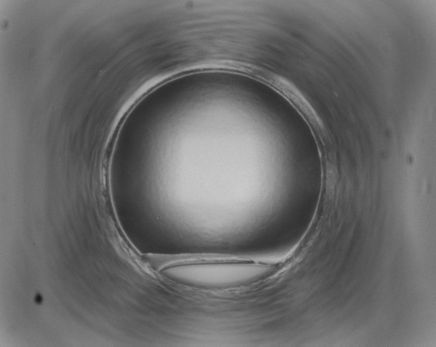 X0000083021292200702161607