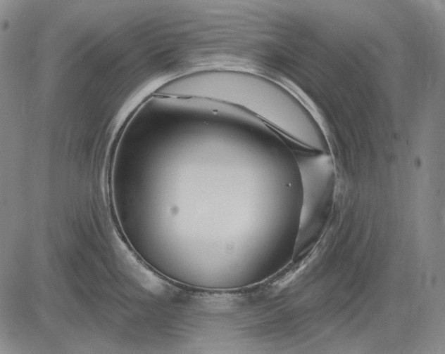 X0000083021293200702161607