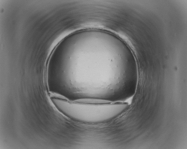 X0000083021295200702161607