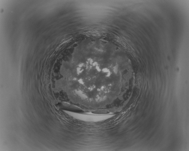 X0000083021297200702161606