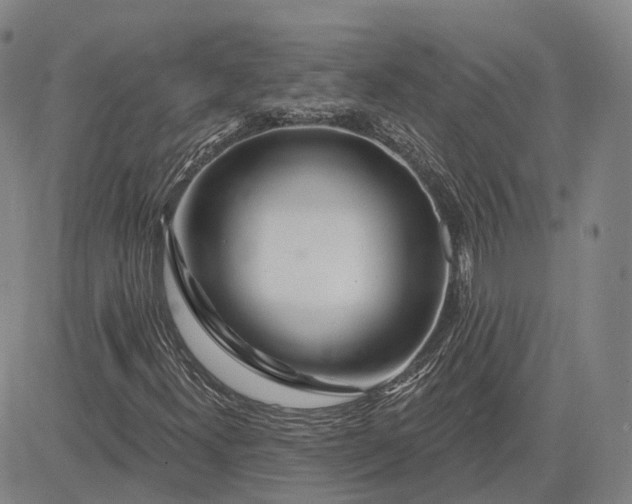 X0000083021300200702161606