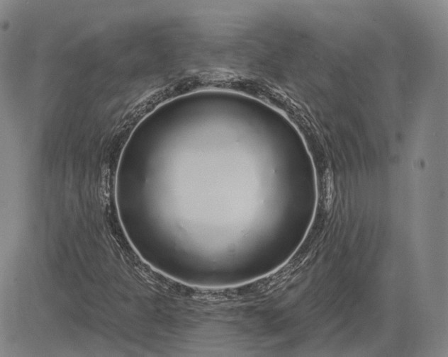 X0000083021301200702161606