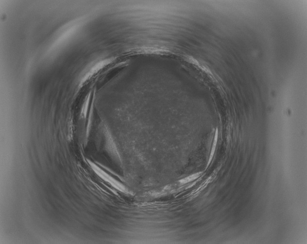 X0000083021306200702161606