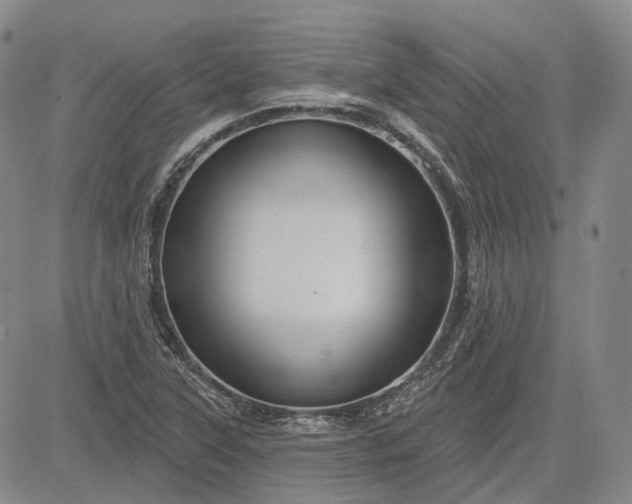 X0000083021315200702161606