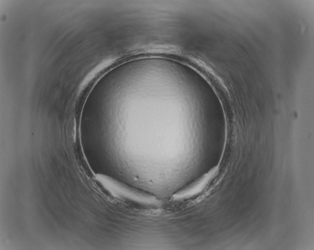 X0000083021317200702161606