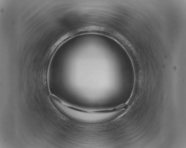 X0000083021321200702161606