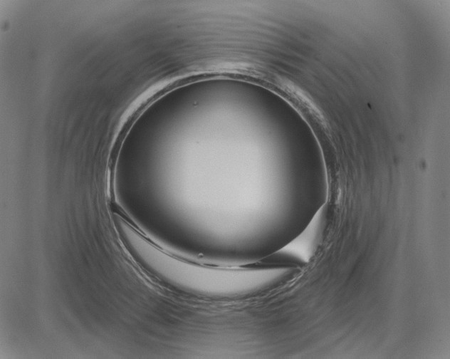 X0000083021324200702161606