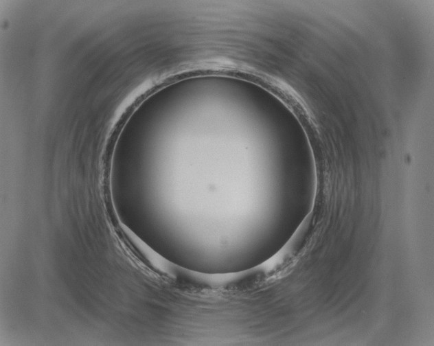 X0000083021326200702161606