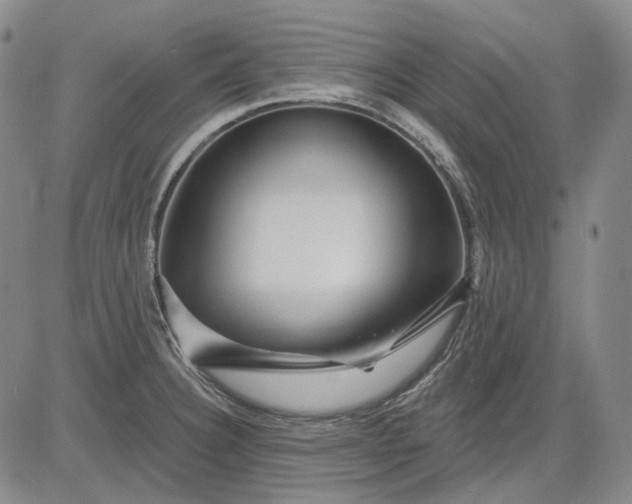X0000083021332200702161607