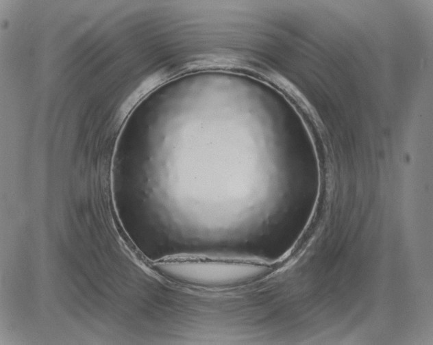 X0000083021337200702161607
