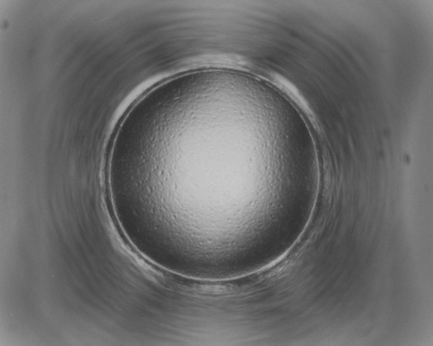 X0000083021339200702161607