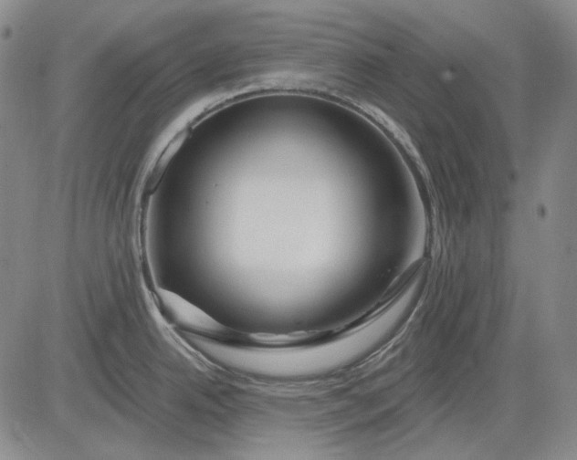 X0000083021342200702161607