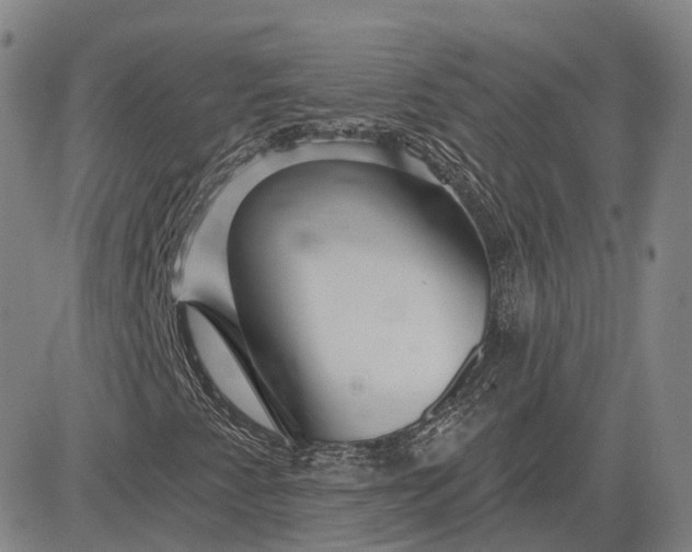 X0000083021345200702161606