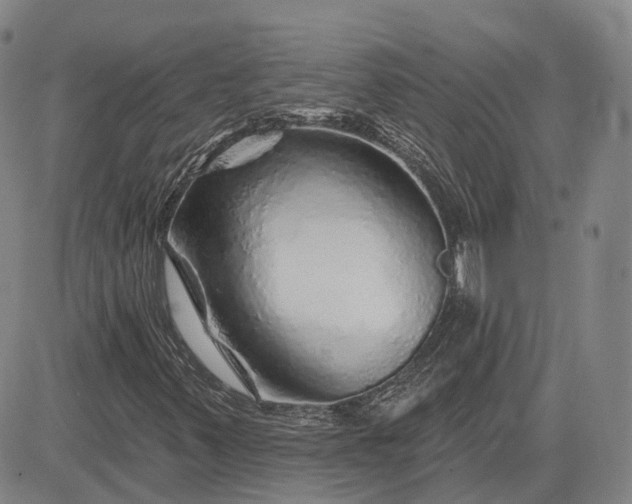 X0000083021347200702161606