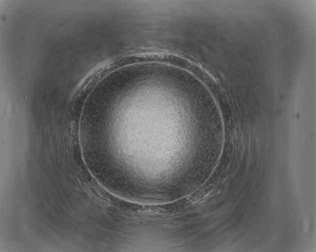 X0000083021351200702161606