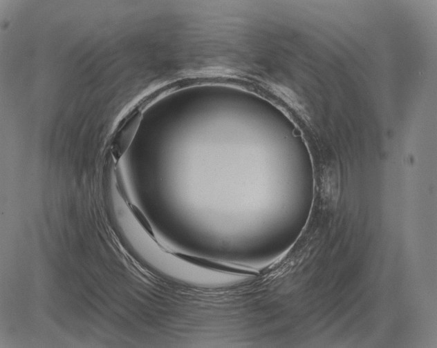 X0000083021356200702161606
