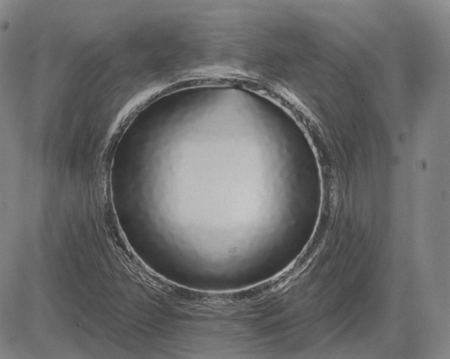 X0000083021358200702161606