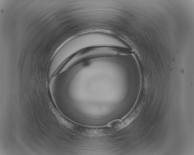 X0000083021369200702161606