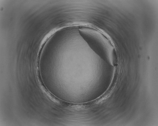 X0000083021373200702161605