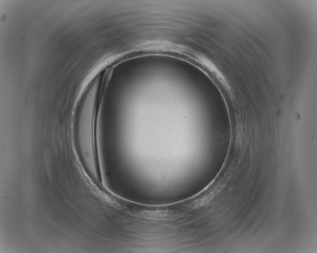 X0000083021376200702161605