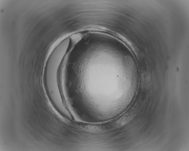 X0000083021379200702161605