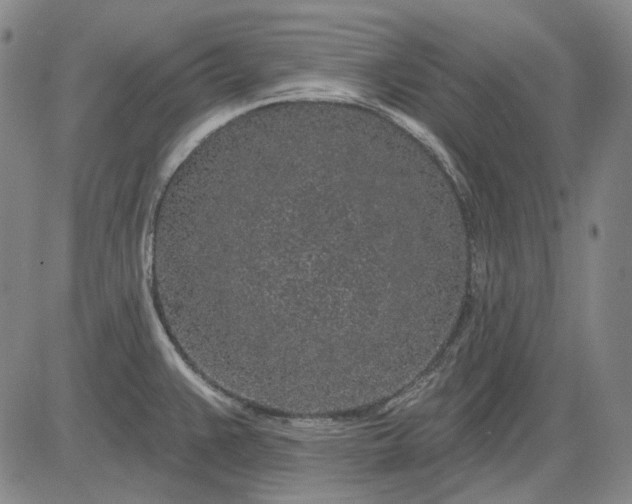 X0000083021383200702161605