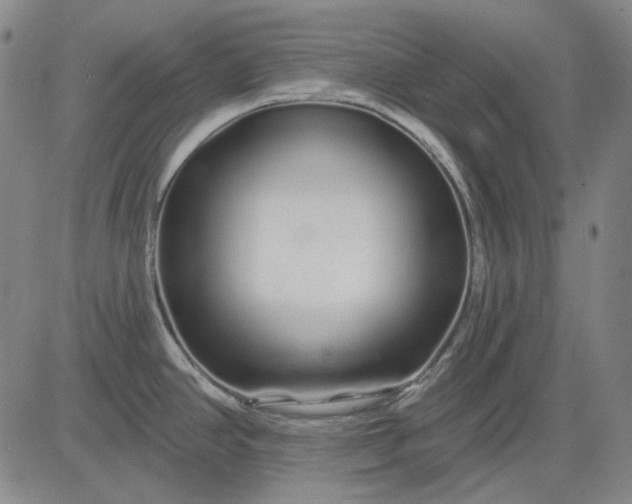 X0000083021390200702161605