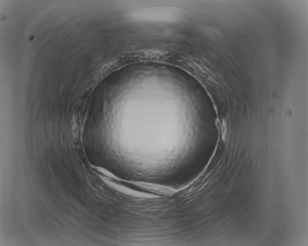 X0000083021395200702161604