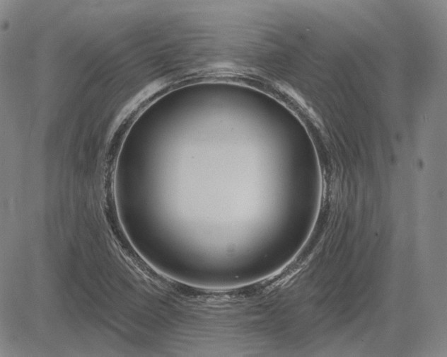 X0000083021410200702161605