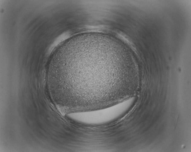 X0000083021411200702161605